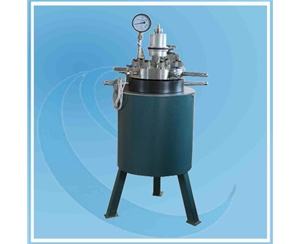 High Pressure Reactor